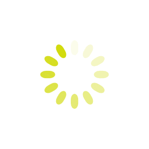 spinner